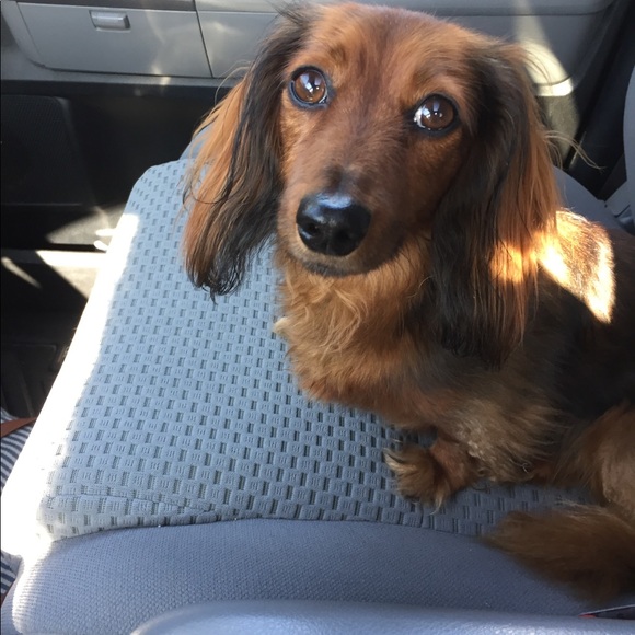 Meet your Posher, Julie - Picture 5 of 14